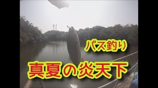 真夏の炎天下でバス釣り　初めてのポイントでブラックバス実釣　愛知釣りポイント