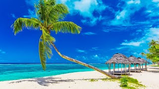 White Sandy Beaches with Bossa Nova Cafe Music & Ocean Waves Sounds for Relaxation, Stress Relief