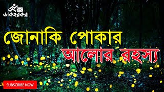 জোনাকি পোকা । জোনাকি পোকার অজানা রহস্য! । Jonaki Poka । Facts About Firefly । Dakhorkora । ডাকহরকরা