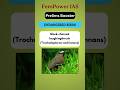 Endangered species of India FemPower IAS #endangeredspecies #birds   #iucn #Prelims #upsc#fempower