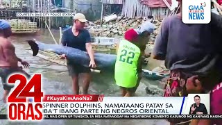 #KuyaKimAnoNa? - Mga patay na dolphin sa Negros Oriental, umabot na sa 9; Longest... | 24 Oras