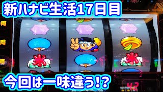 カピバラくん　今回は一味違うかも！？　新ハナビ生活17日目　＃274