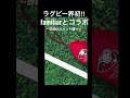 ラグビー界初‼︎familiarコラボ shorts ラグビー ファミリア