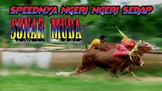 SONAR MUDA || Speednya Ngeri Ngeri Sedaaaa.....p BOOOO...........R