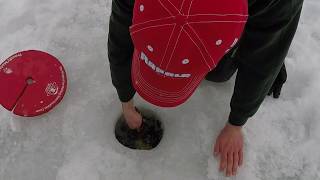 18 Pound Lake Trout Ice Fishing 2019