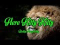 Here Kitty Kitty - Buddy Houghtaling - with lyrics