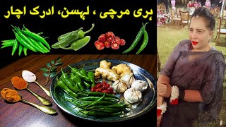 Instant Hari Mirchi, Lehsan, Adrak Achar | No Cook | Easy 5 mins Pickle Recipe🔥