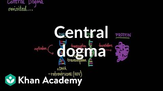 Central dogma - revisited | Chemical processes | MCAT | Khan Academy