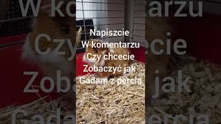 Napiszcie w kom