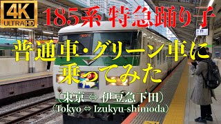 【4K】特急踊り子 185系 普通車・グリーン車にそれぞれ乗ってみた