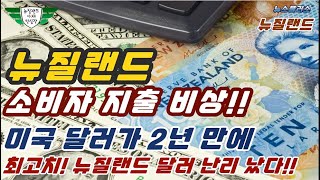 뉴질랜드 소비자 지출 비상!- 미국 달러가 2년 만에 최고치! 뉴질랜드 달러 난리 났다!