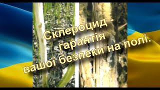 Склероцид   гарантія вашої безпеки на полі