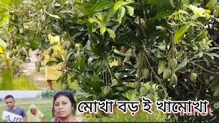 আমবাগান আর বাঁচানো গেল না শেষমেষ। চোরের থেকেও আরো বড় ঘাতকের হাতে।