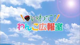 いわて！わんこ広報室【第16回】