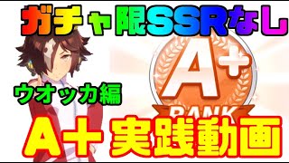 【ウマ娘 プリティーダービー】自前ガチャ限SSRなし！ウオッカでA＋育成していきます