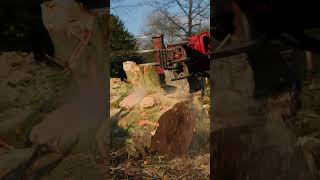 Tree Felling and Climbing #treework #unimog #arborist #arb #treeclimbing