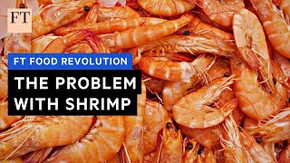 Shrimp: a sustainable catch? | FT Food Revolution