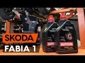 Как заменить масло КПП на SKODA FABIA 1 (6Y5) [ВИДЕОУРОК AUTODOC]