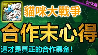 ▶️這才是真正的合作黑金！｜貓咪大戰爭合作末心得｜輕鬆閒聊｜【神魔之塔】｜佛挪 凱斯莉 詩蘭捷 #貓咪大戰爭