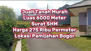 Suasana Asri Dan Dingin Di Juall Tanah Sawah Murah LT 6000 Meter Surat SHM Vieu Gunung Salak