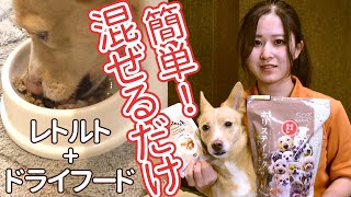 【愛犬用ご飯】混ぜるだけ 簡単 甘いリンゴと豚肉レトルトごはん【帝塚山ハウンドカム】