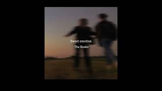 Sweet Emotion - The Kooks (slowed down)