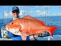 EPIC Offshore Fishing Adventure in the Middle Grounds