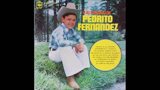 Pedrito Fernández - Corriente Y Canelo (Instrumental Original Con Coros)