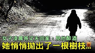 女子凌晨等丈夫，見他醉酒回家，她悄悄拋出了一根樹枝...【明朝民間故事】