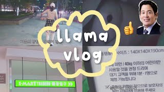 [vlog] 정용진씨가 좋아요를 누른 영상입니다. | 이마트 트레이더스 터는 직장인 브이로그 (살려주세요)