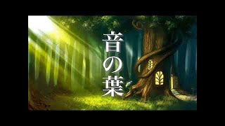 音の葉 ～ 静かな森の物語 ～ 癒し音楽【作業用BGM・勉強用BGM】