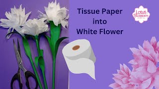 Turn Tissue Paper into White Flower - Easy Paper Flowers - Handmade