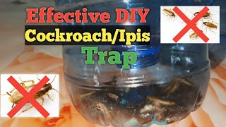 How to make DIY Cockroach/Ipis Trap||Maynard C. Rivera