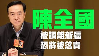 陈全国被调离新疆,恐将被落责