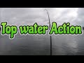 Top Water Action Preview Cape Cod canal