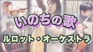 【テレワークアンサンブル】いのちの歌 演奏してみた【ルロットオーケストラ】【演奏動画】【ハープ】