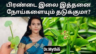 மூட்டுவலி,கழுத்து, கை,கால் வலி குறைய பிரண்டை இலை நன்மைகள் Pirandai leaf benefiits tamil Dr.Mythili