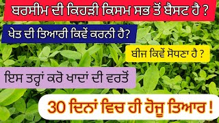 ਬਰਸੀਮ ਦੀ ਖੇਤੀ ਬਾਰੇ ਪੂਰੀ ਜਾਣਕਾਰੀ !Full information about barseem farming! Barseem ki kheti kaise kare