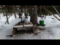 lintujen ja oravan ruokinta birdfeeding squirrelfeeder 7.2