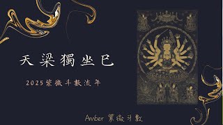 2025流年 -- 天梁獨坐在巳宮(中文字幕) -- Amber．紫微斗數