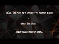 demo dejs tm feat. nfx project vs. maniacs squad what the fuck radius sunny mash up