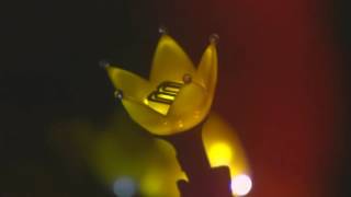 BIGBANG10 THE CONCERT 2016