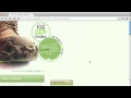 CSS Cascading Stylesheets Video Tutorial
