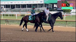 Bango Attempts to Set All-Time Churchill Downs Win Record in 2024 St. Matthews Stakes