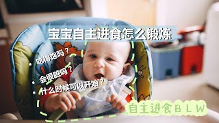 一篇告诉你blw 自主进食怎么实施，手指食物怎么添加