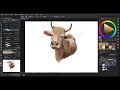 csp 动物绘画速写 牛 animal painting cow