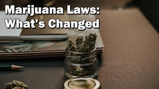 Marijuana Laws in Louisiana: What's Changed? | Carl Barkemeyer, Criminal Defense Attorney