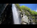 新緑と山野草の花が美しい米子大瀑布・4k