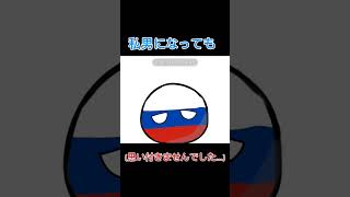 革命なんてしないから…#カントリーボール #ポーランドボール #countryballs #Countryball #polandball #PB #pb