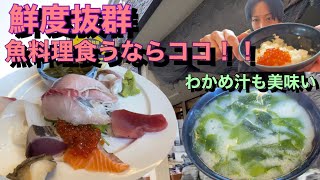 【活魚料理 びんび家】鮮度抜群！極厚刺身定食で腹満たしてきた【飯テロ】【飯動画】